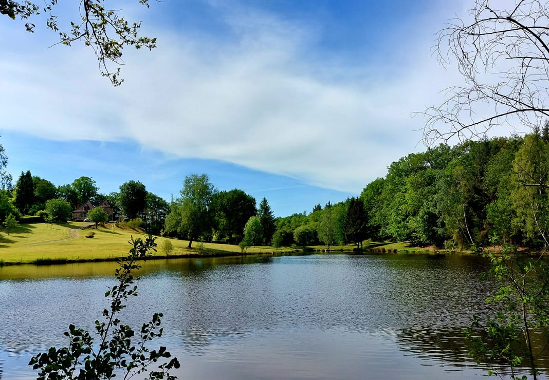 lake view