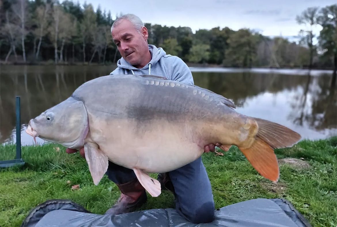 carp