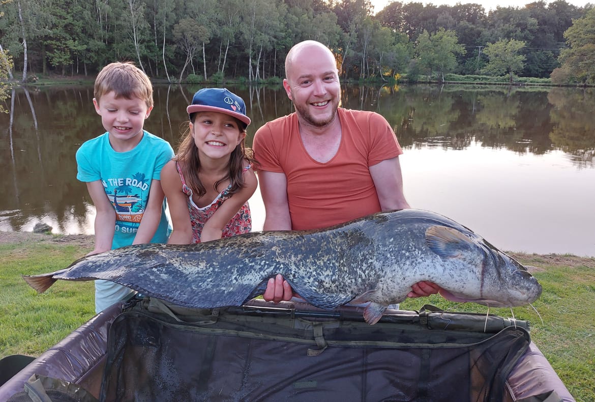 catfish