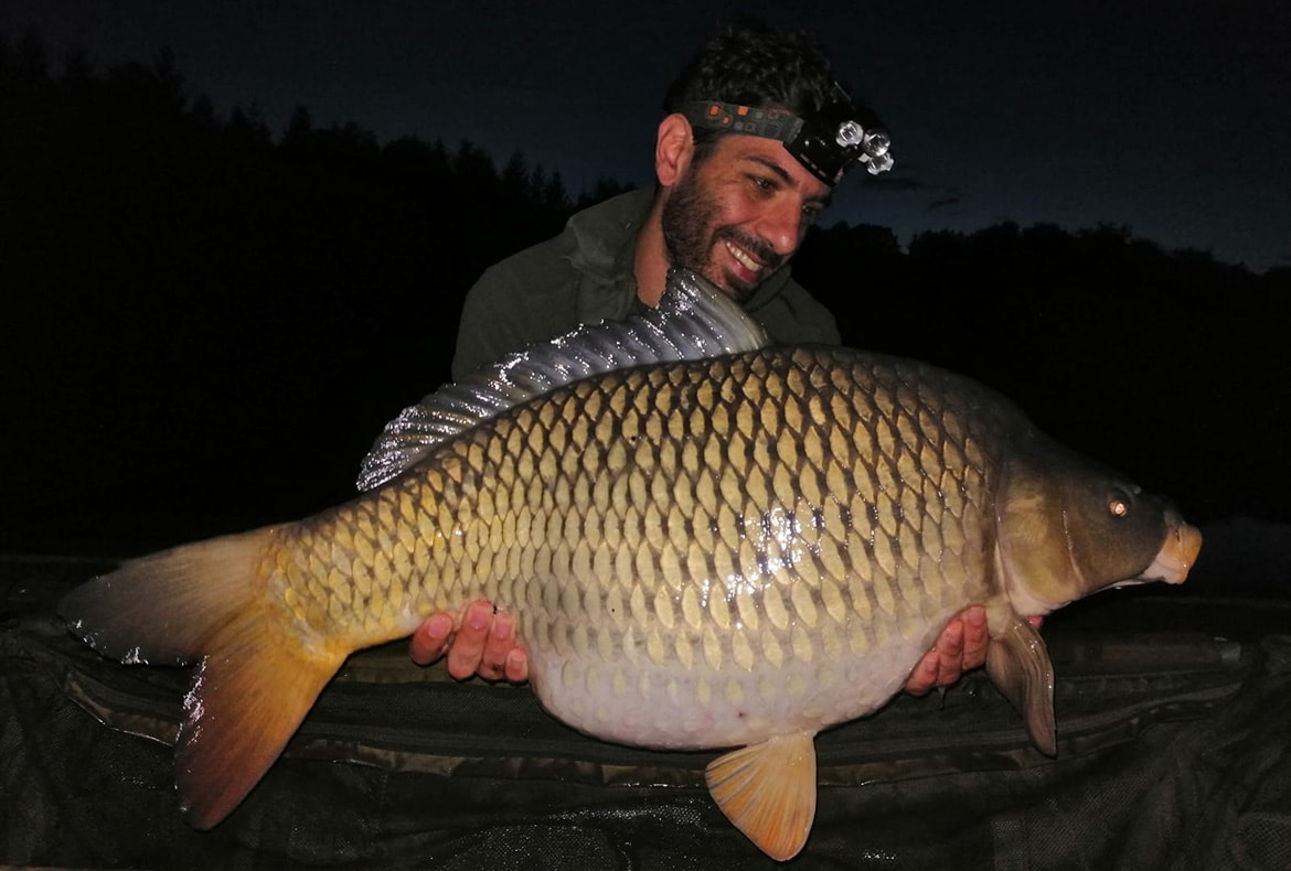 carp