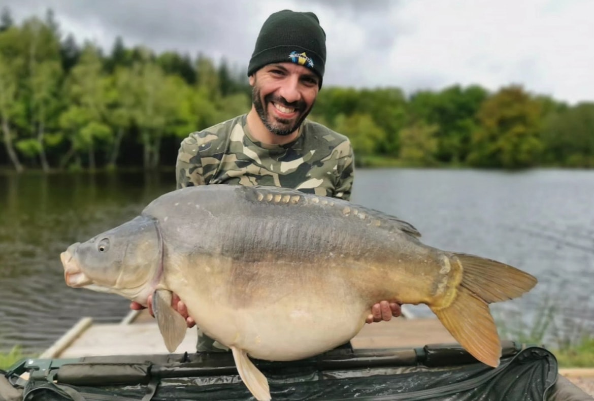mirror carp