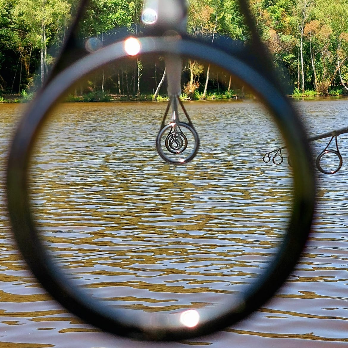 fishing rod eyes