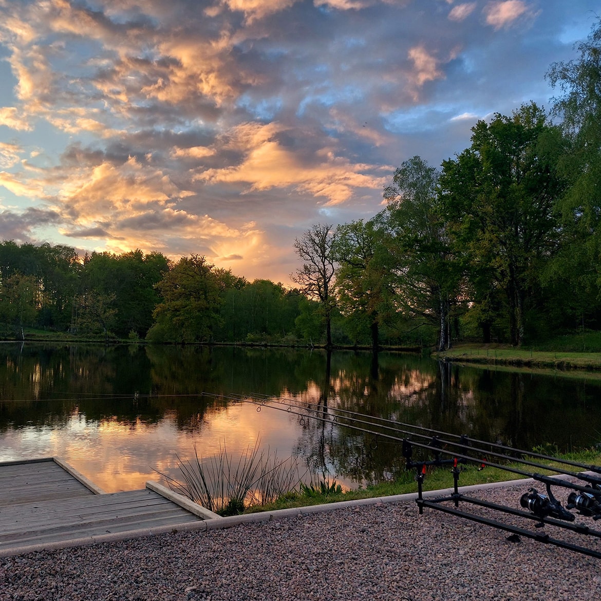fishing rods